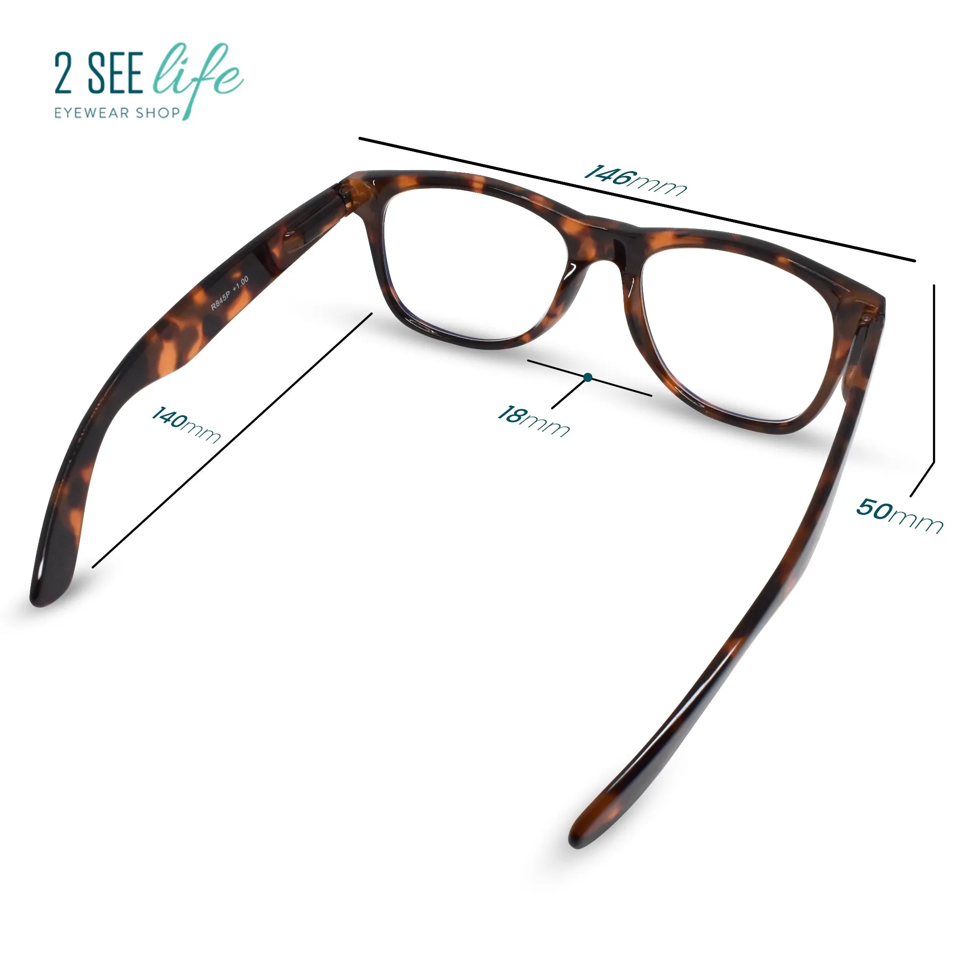 Large Retro Reading Glasses for Men | R-845