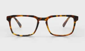 Seymour Glass Color 19 - Matte Tortoise Front and Temples