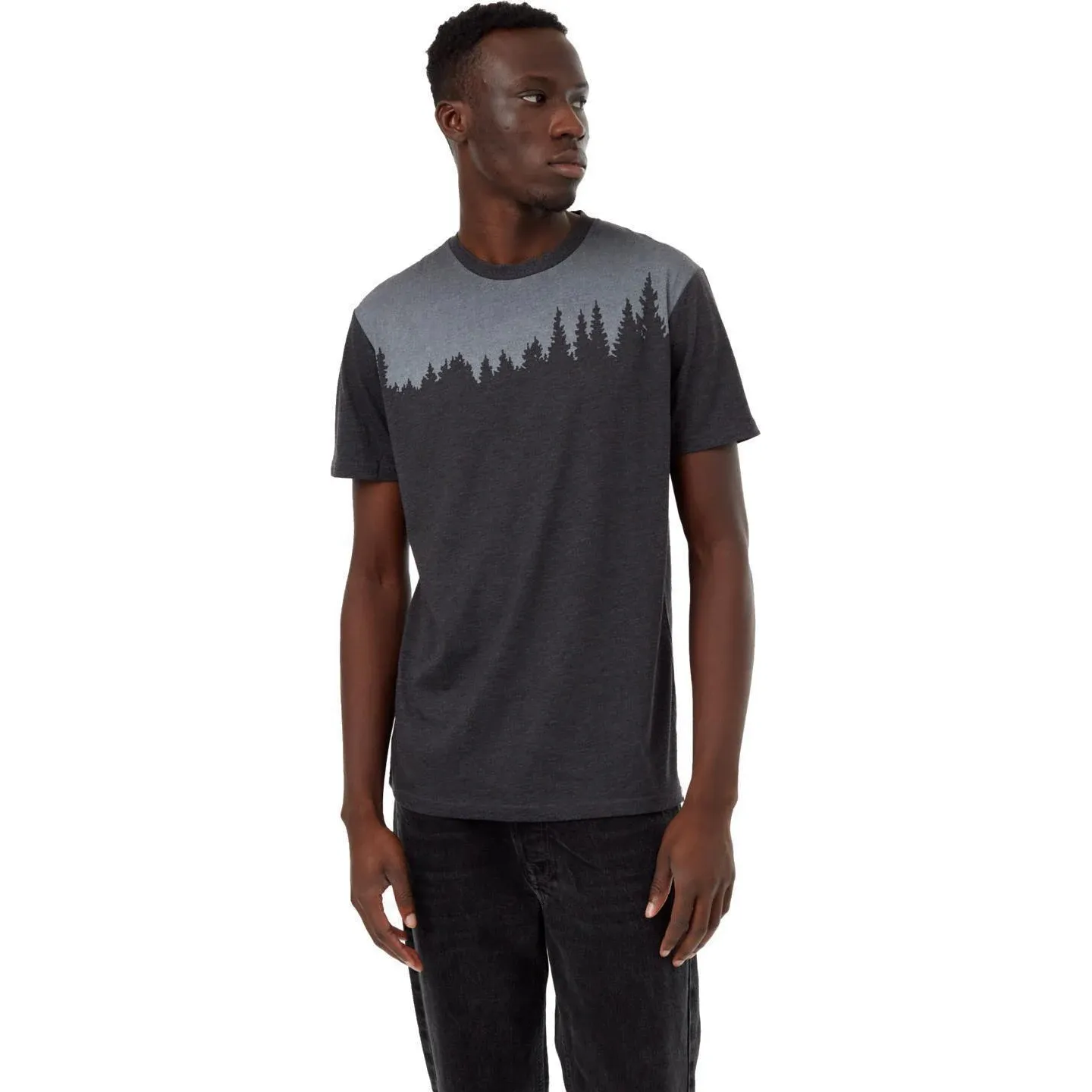 Tentree Juniper Tee Men's